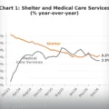 Chart: Shelter and Medical Care Services (% year-over-year)
